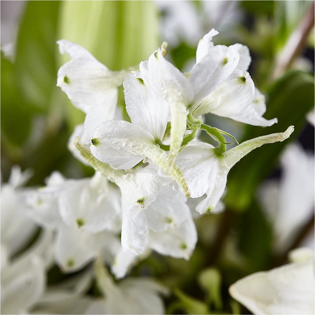 Classic Ivory – A Florist Original –  Poplar Flower Shop, Terre Haute IN