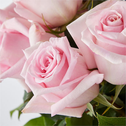 Picture Perfect Pink Rose Bouquet –  Poplar Flower Shop, Terre Haute IN