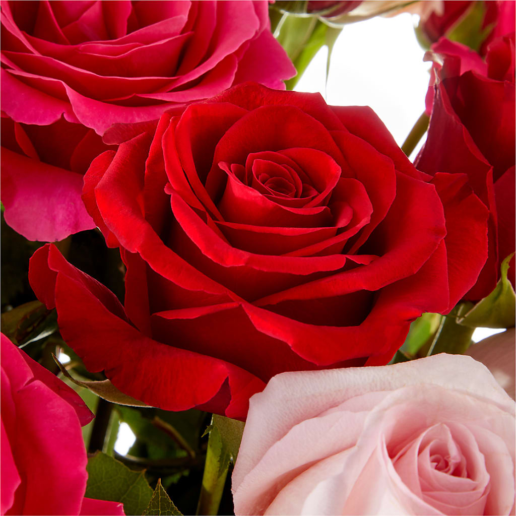 Love Notes Rose Bouquet –  Poplar Flower Shop, Terre Haute IN