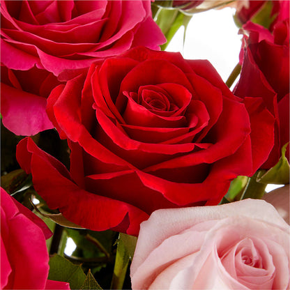 Love Notes Rose Bouquet –  Poplar Flower Shop, Terre Haute IN
