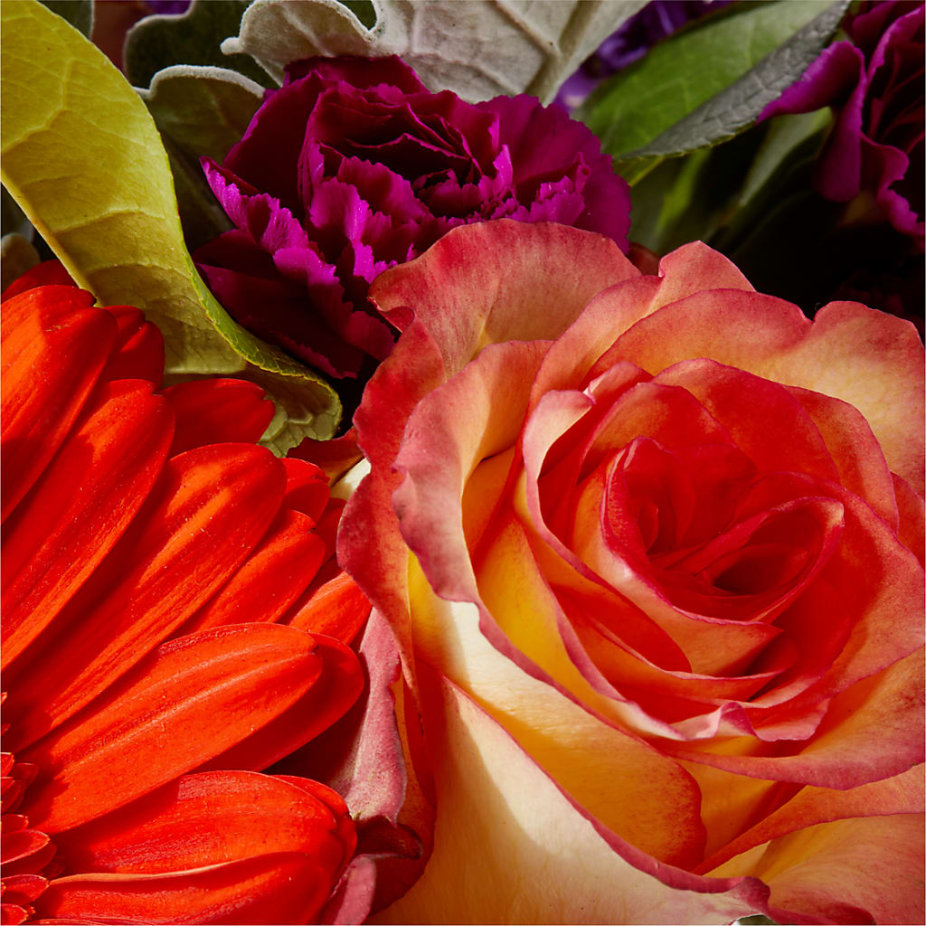 Sangria Bouquet –  Poplar Flower Shop, Terre Haute IN