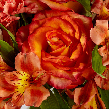 Apricot Glow Bouquet –  Poplar Flower Shop, Terre Haute IN