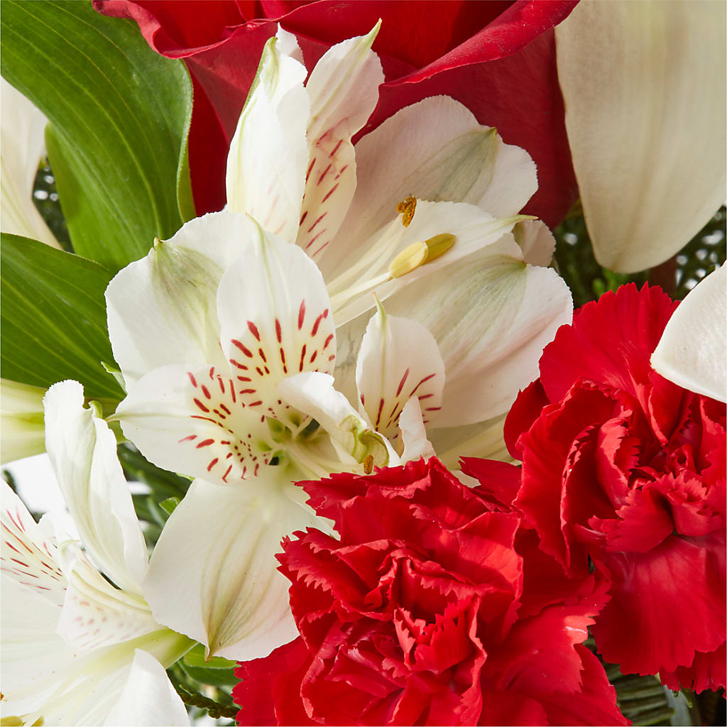Holiday Season Bouquet –  Poplar Flower Shop, Terre Haute IN