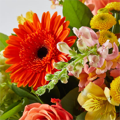 Autumn Sunshine Bouquet –  Poplar Flower Shop, Terre Haute IN