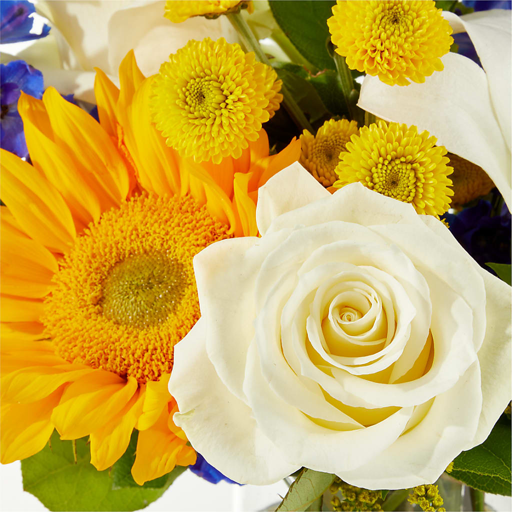 Stargazing Bouquet –  Poplar Flower Shop, Terre Haute IN