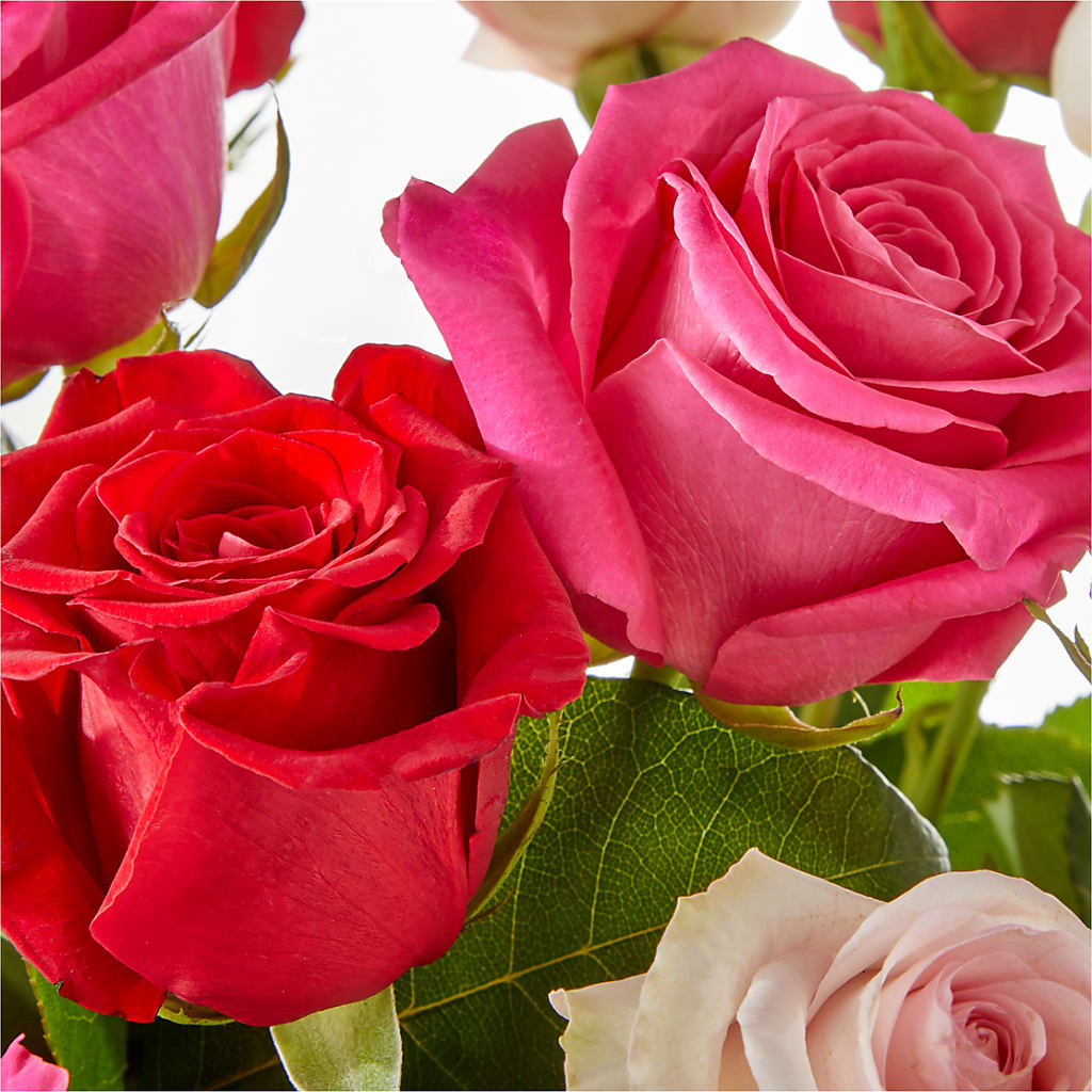 Charming Rose Bouquet –  Poplar Flower Shop, Terre Haute IN