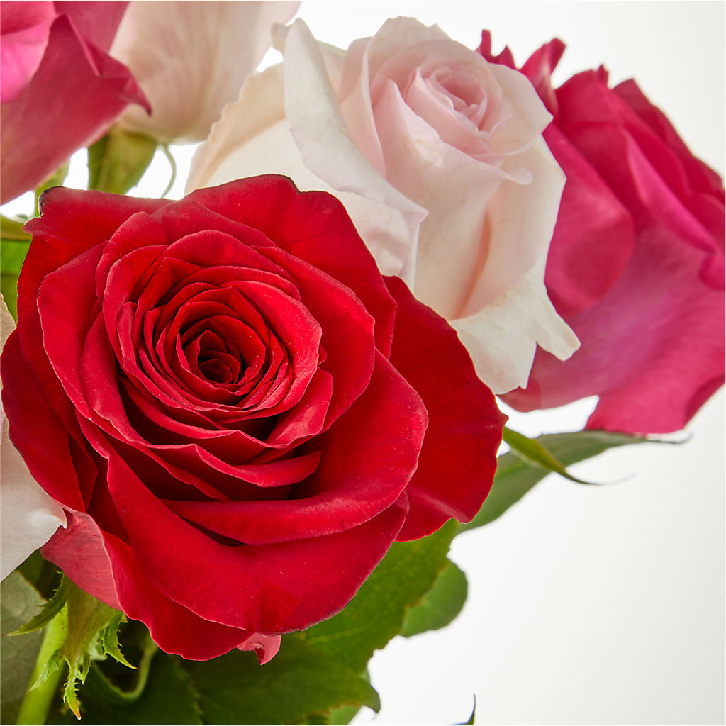 Charming Rose Bouquet –  Poplar Flower Shop, Terre Haute IN