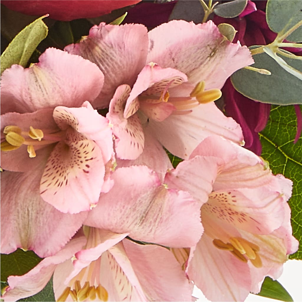 Berry Cobbler Bouquet –  Poplar Flower Shop, Terre Haute IN