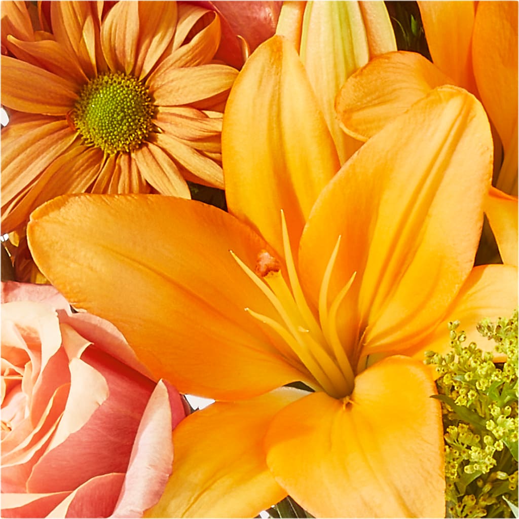 Harvest Hayride Bouquet –  Poplar Flower Shop, Terre Haute IN