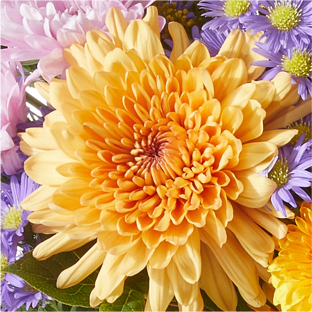 Countryside Bouquet –  Poplar Flower Shop, Terre Haute IN