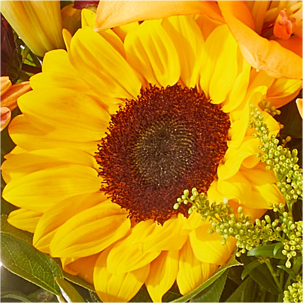 Seasons Change Bouquet –  Poplar Flower Shop, Terre Haute IN