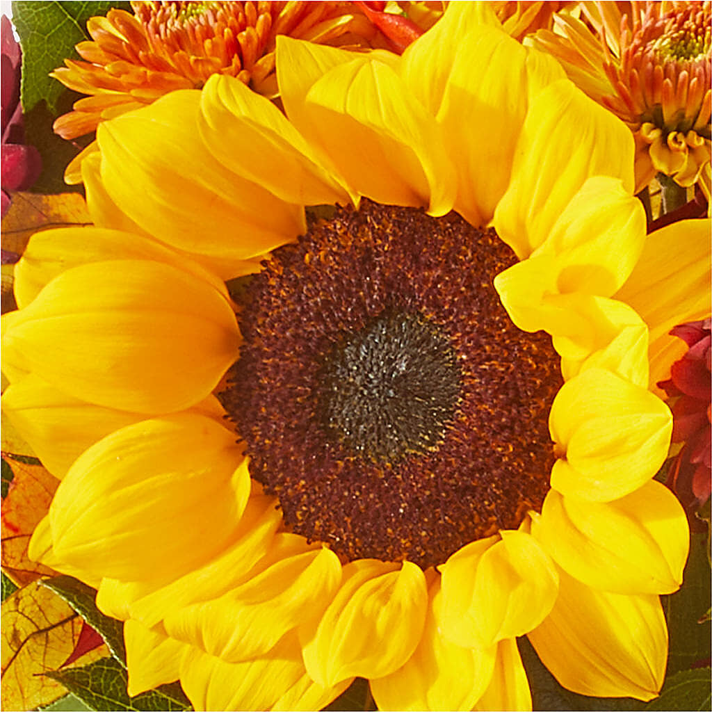 Sunny Side Bouquet –  Poplar Flower Shop, Terre Haute IN