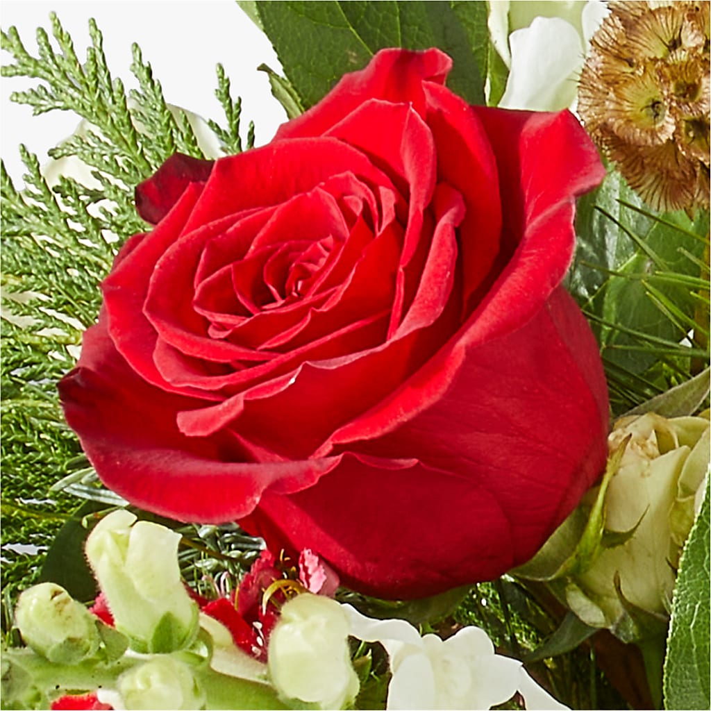 Deck the Halls Bouquet –  Poplar Flower Shop, Terre Haute IN