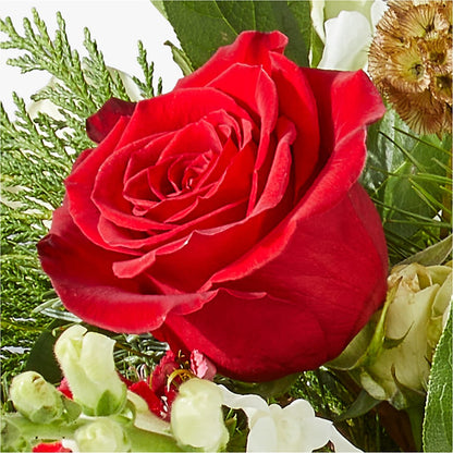 Deck the Halls Bouquet –  Poplar Flower Shop, Terre Haute IN