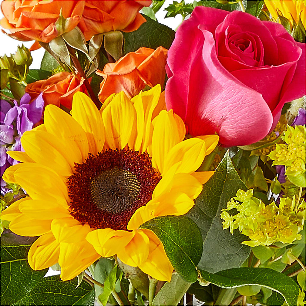 Vibrant Greetings Bouquet –  Poplar Flower Shop, Terre Haute IN