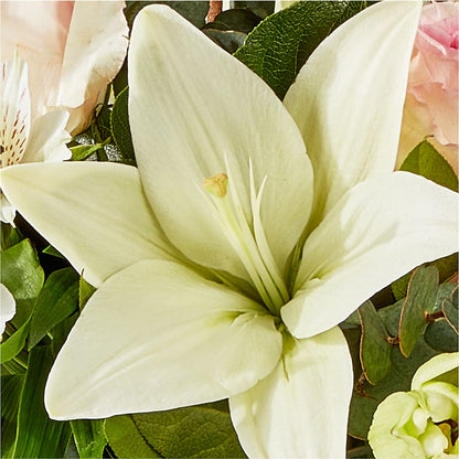Ballet Slippers Bouquet –  Poplar Flower Shop, Terre Haute IN