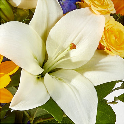 Wonderfully Sunny Bouquet –  Poplar Flower Shop, Terre Haute IN