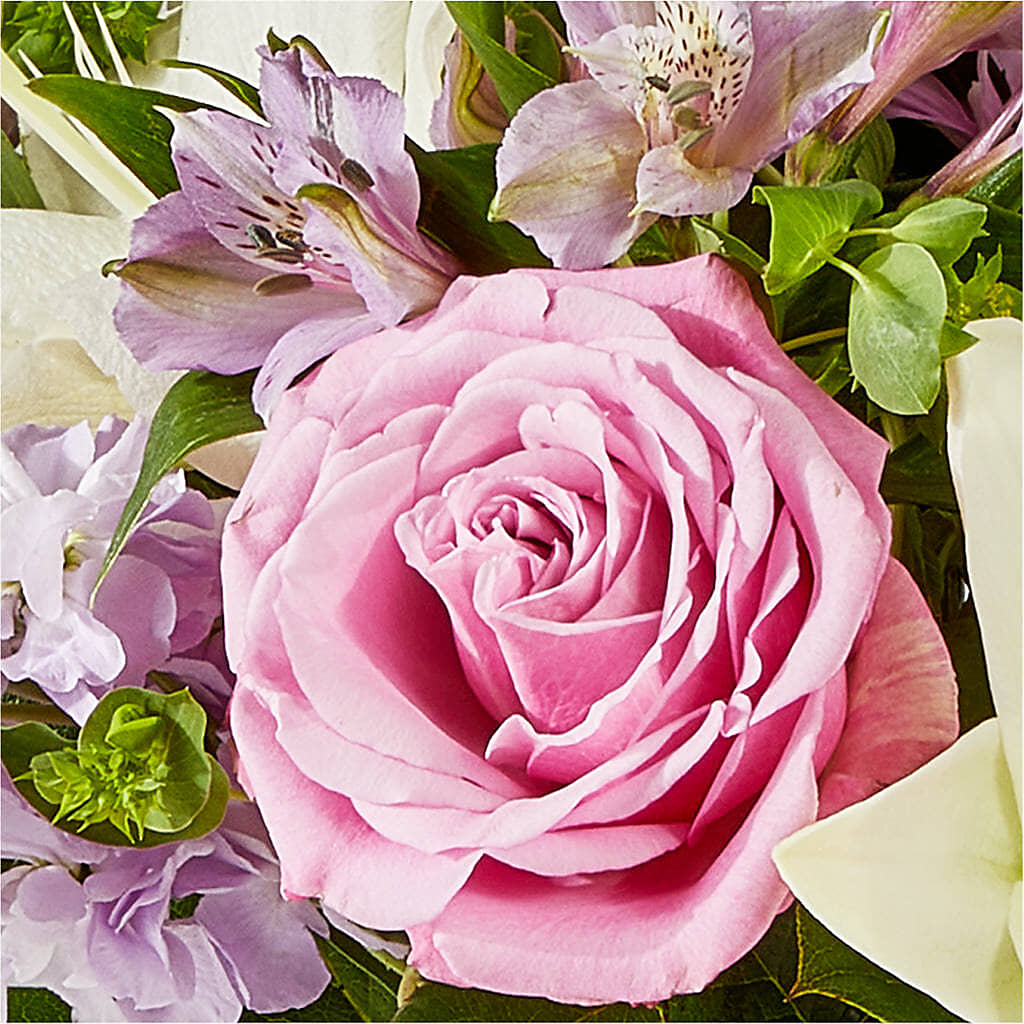 Daydreamer Bouquet –  Poplar Flower Shop, Terre Haute IN