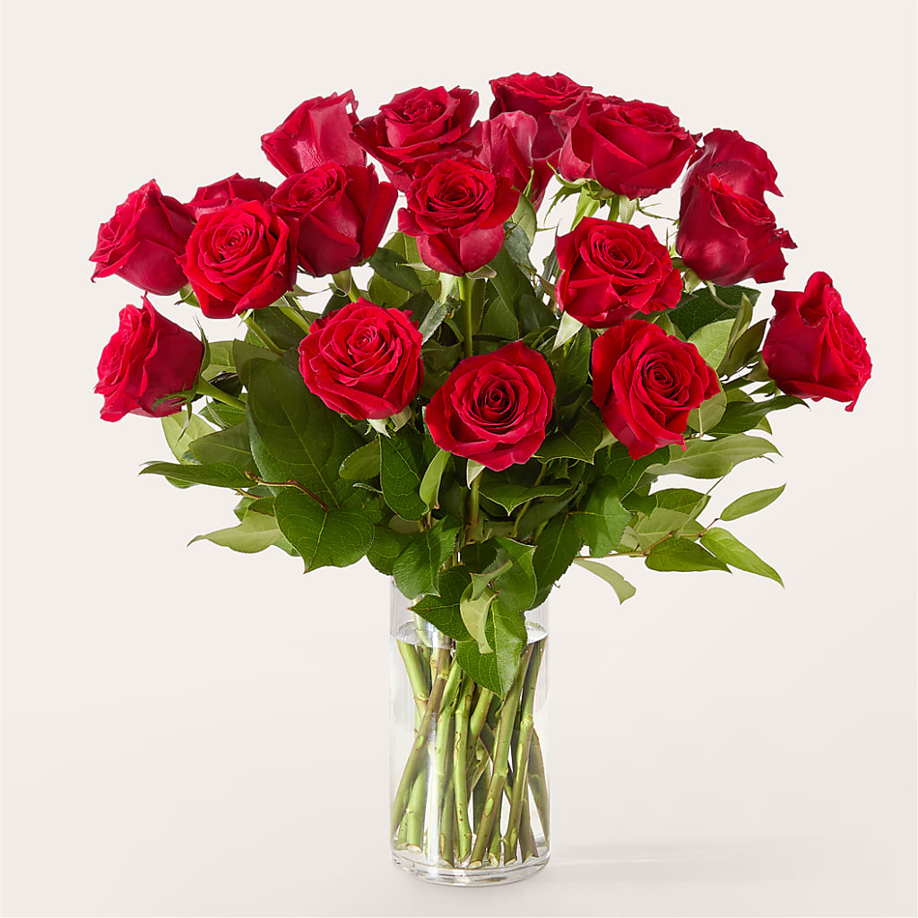 The One Red Rose Bouquet –  Poplar Flower Shop, Terre Haute IN