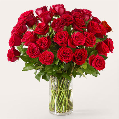 The One Red Rose Bouquet –  Poplar Flower Shop, Terre Haute IN