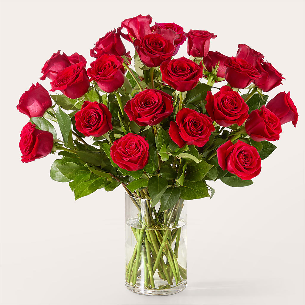 The One Red Rose Bouquet –  Poplar Flower Shop, Terre Haute IN