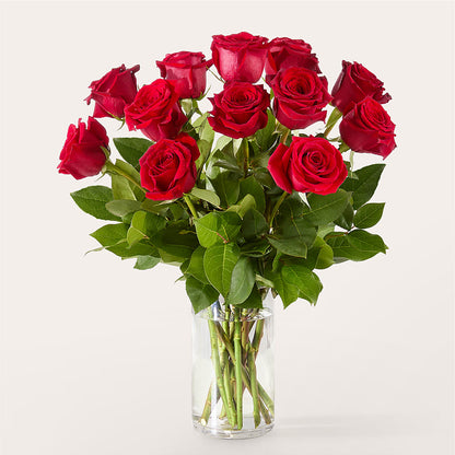 The One Red Rose Bouquet –  Poplar Flower Shop, Terre Haute IN