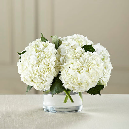 White Hydrangea Bouquet –  Poplar Flower Shop, Terre Haute IN
