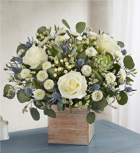 1-800-FLOWERS Country Pearl Succulent Bouquet